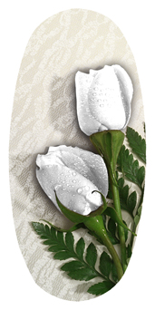 DASOV 060 2 Roses White